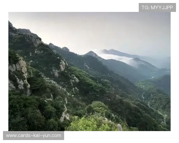 山东泰山推进打出强势气流